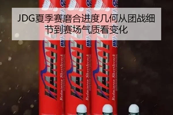JDG夏季赛磨合进度几何从团战细节到赛场气质看变化（Kering）